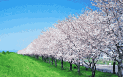 ӣ*Ʒձ*ݾ7